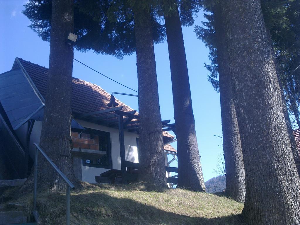 Villa Casa Gabriela Sinaia Habitación foto